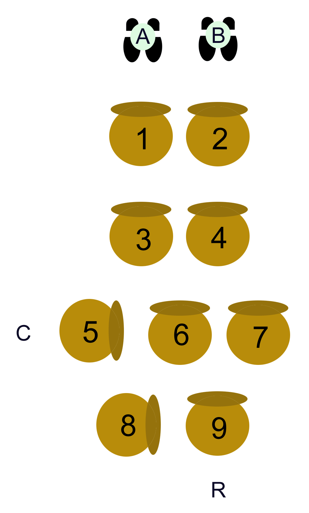 Fig 1. How to set up the chairs